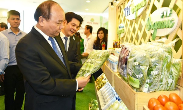 Thủ tướng Nguyễn Xuân Phúc đánh giá Thái Bình luôn có tiềm năng rất lớn về nông nghiệp và cần phát huy những thế mạnh đó.Ảnh: VGP
