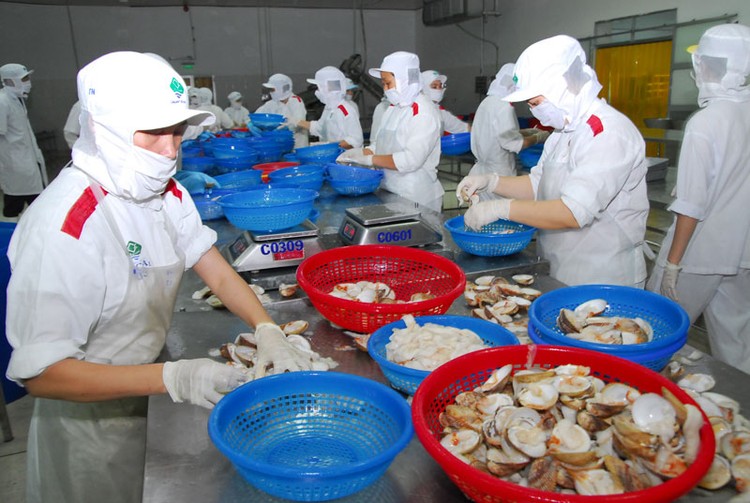 Các mặt hàng xuất khẩu chủ lực của Việt Nam như dệt may, giày dép và thủy sản đang gặp nhiều khó khăn. Ảnh: Nhã Chi
