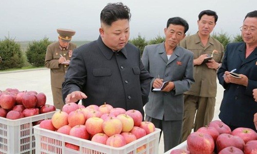 Triều Tiên phụ thuộc lớn vào nguồn thực phẩm nhập khẩu. Ảnh:Reuters