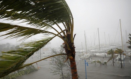 Tàu thuyền neo đậu tại Miami (Florida) hôm qua. Ảnh:Reuters