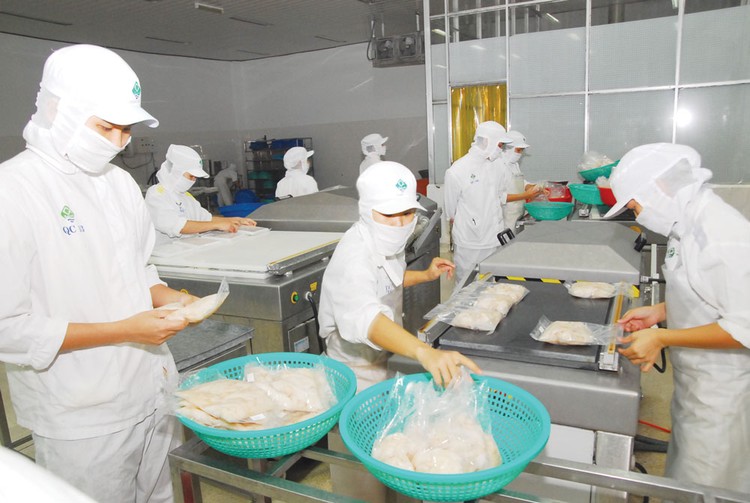 Trong năm 2016, chỉ riêng mặt hàng cá, tôm, cua của Việt Nam đã xuất khẩu vào thị trường Mỹ 1,4 tỷ USD. Ảnh: Nhã Chi