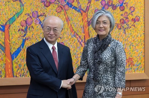 Ông Yukiya Amano, Giám đốc IAEA, gặp Ngoại trưởng Hàn Quốc. Ảnh:Yonhap.