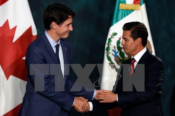 Tổng thống Mexico Enrique Pena Nieto (phải) và Thủ tướng Canada Justin Trudeau trong cuộc gặp tại Mexico City, Mexico. (Nguồn: AFP/TTXVN)