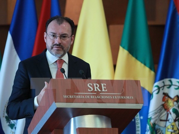 Ngoại trưởng Mexico Luis Videgaray. (Nguồn: EPA/TTXVN)