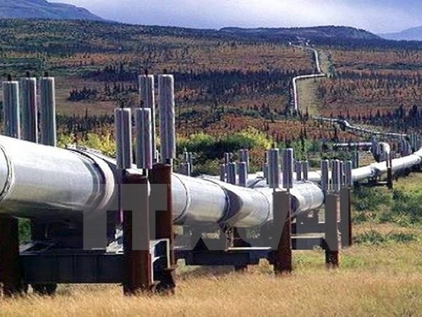 Đường ống dẫn dầu Keystone XL giữa Canada và Mỹ. (Nguồn: New York Times/TTXVN)