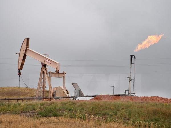 Hệ thống khai thác dầu mỏ gần Williston, North Dakota, Mỹ. (Nguồn: AFP/TTXVN)