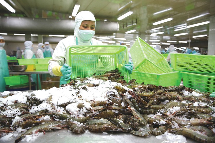 Doanh thu hai sản phẩm bán trong nước sụt giảm mạnh nhất của Công ty CP Hùng Vương là nguyên liệu chế biến thức ăn chăn nuôi và thủy sản. Ảnh: Thùy Anh