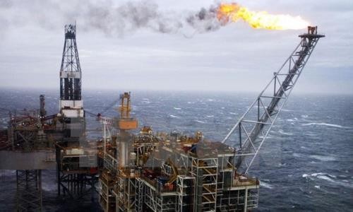 Giá dầu thế giới nối dài đà giảm. Ảnh: Reuters