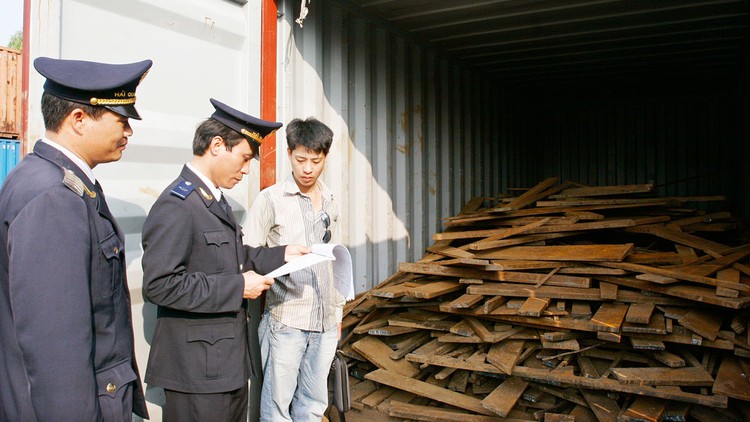 Hiện có tới 6.000 container phế liệu tồn đọng tại các cảng trên cả nước. Ảnh: Tường Lâm