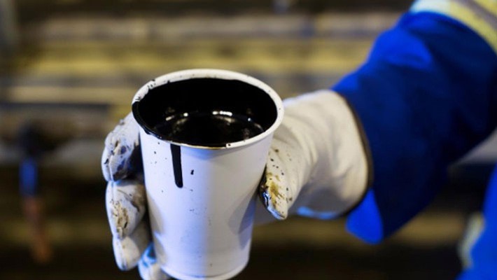 Một cốc dầu nặng trong tay người công nhân tại một mỏ dầu ở Alberta, Mỹ, tháng 8/2013 - Ảnh: Reuters.