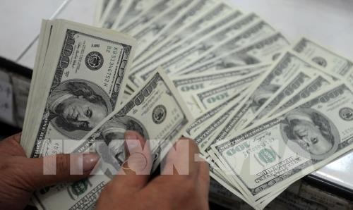Tỷ giá đồng USD ổn định. Ảnh: AFP/TTXVN