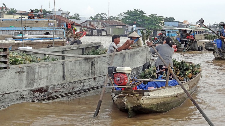 Một trong những thách thức lớn của Vùng Đồng bằng sông Cửu Long là phải đối mặt với những tác động của biến đổi khí hậu. Ảnh: Hà Phương