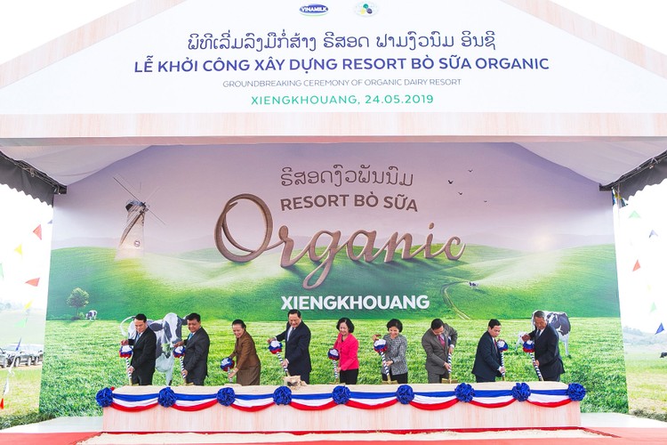 Các đại biểu thực hiện nghi thức khởi công Tổ hợp “Resort” bò sữa Organic tại cao nguyên Xiêng Khoảng (Lào)