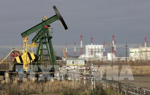 Giá dầu thế giới giảm do dự trữ dầu thô của Mỹ tăng mạnh. Ảnh: AFP/TTXVN