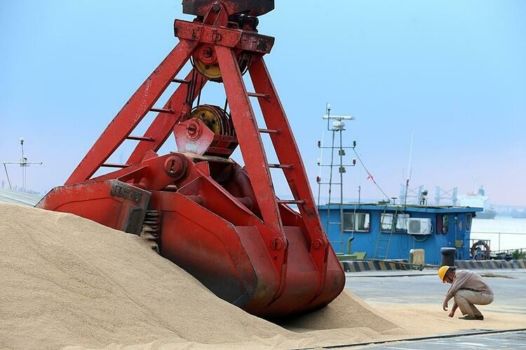 Đậu tương nhập khẩu tại một cảng biển ở Giang Tô (Trung Quốc). Ảnh:Reuters