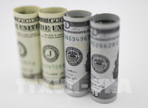 Đồng đôla Mỹ tại Washington DC. Ảnh: THX/TTXVN