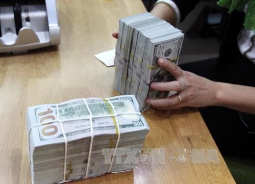 Giá USD tại Vietcombank hôm nay 24/2 tăng 35 đồng. Ảnh minh họa: TTXVN