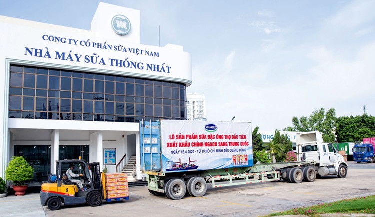 Lô sản phẩm sữa đặc Ông Thọ được đưa vào container chuẩn bị xuất đi Trung Quốc từ Nhà máy Sữa Thống Nhất của Vinamilk
