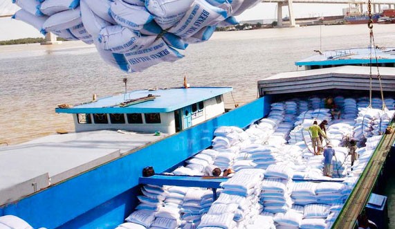 “Tân binh” lần đầu tham gia các gói thầu gạo dự trữ tại TP.HCM - Công ty TNHH Kim Hằng đã trúng tổng cộng 4 trong số 7 gói thầu. Ảnh: Minh Hoa