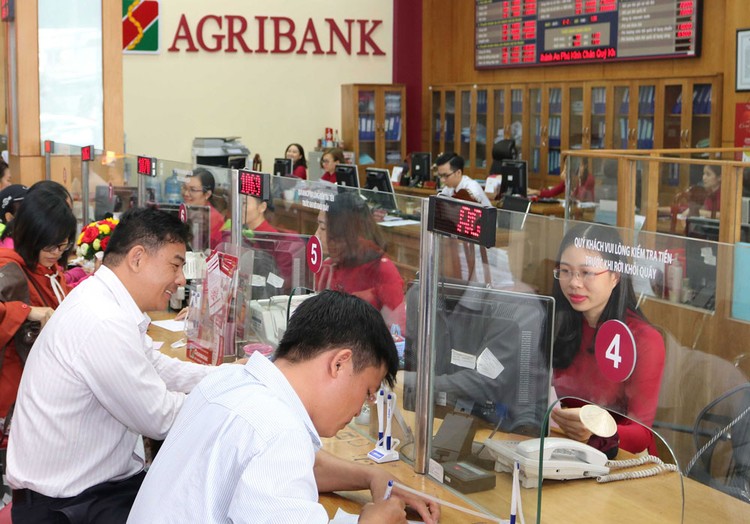 Nhiều năm qua, Agribank chưa được Nhà nước đầu tư bổ sung vốn điều lệ, tỷ lệ an toàn vốn bị suy giảm. Ảnh: Lê Tiên