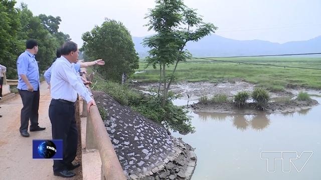 UBND tỉnh Thanh Hóa khảo sát thực địa Dự án Tiêu úng vùng III huyện Nông Cống. 
Ảnh: Internet 