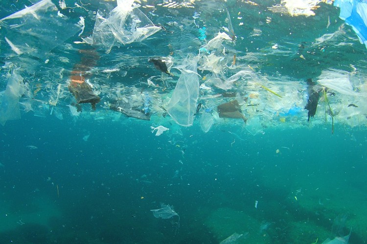 Hội nghị đã đề xuất 5 sáng kiến, gồm: Liên minh tái chế bao bì Việt Nam; Sáng kiến không xả thải vào thiên nhiên; Dự án phát triển thị trường nhựa tái sinh sau tiêu dùng; Thử nghiệm sử dụng rác thải nhựa để tái chế làm đường giao thông
