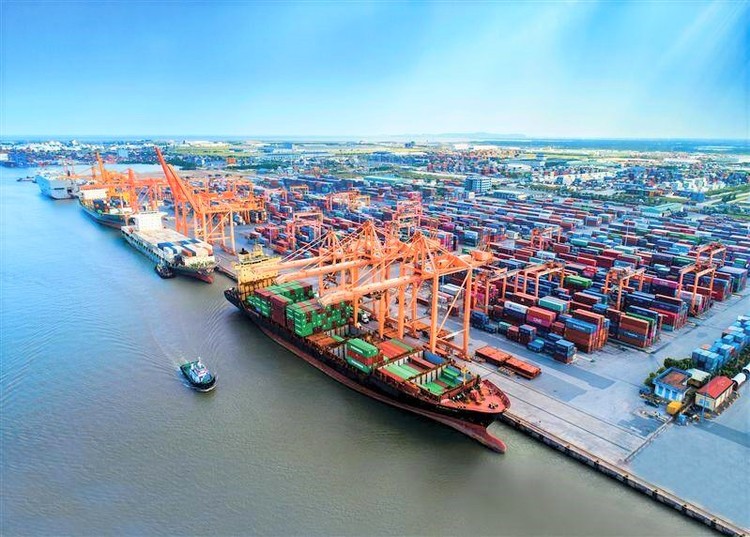 Giá bốc dỡ container tại các khu vực cảng biển Việt Nam tính trung bình chỉ bằng 40 - 50% so với khu vực. Ảnh: Internet