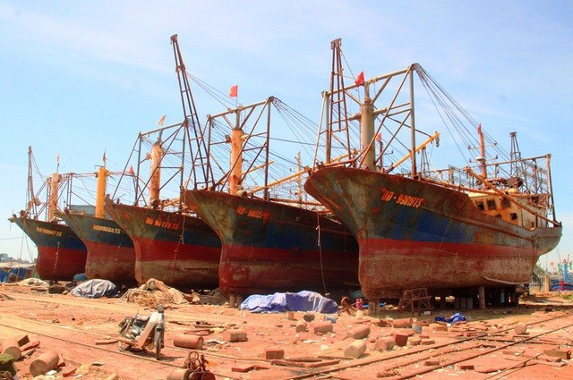 Hàng loạt tàu vỏ thép của
ngư dân tỉnh Bình Định bị hư hỏng phải đưa lên bờ sửa chữa gần cả năm trời.