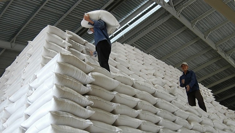 Năng lượng xanh bị cảnh cáo vì không thực hiện biện pháp bảo đảm thực hiện hợp đồng gói thầu vận chuyển 636,210 tấn gạo dự trữ quốc gia hỗ trợ học sinh tỉnh Quảng Nam. Ảnh chỉ mang tính minh họa: Tường Lâm