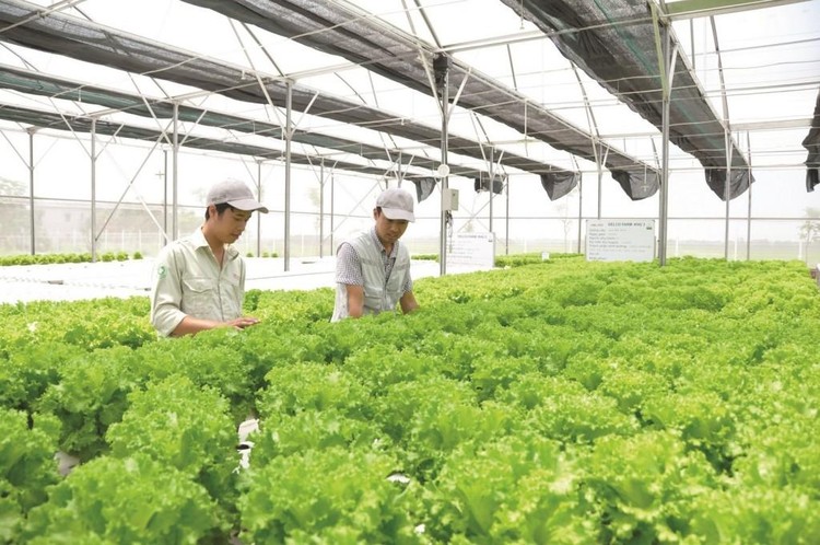 Khu nông nghiệp ứng dụng công nghệ cao Quảng Ninh là khu thực hiện các hoạt động ứng dụng thành tựu nghiên cứu ứng dụng, thử nghiệm, trình diễn mô hình sản xuất ứng dụng công nghệ cao 