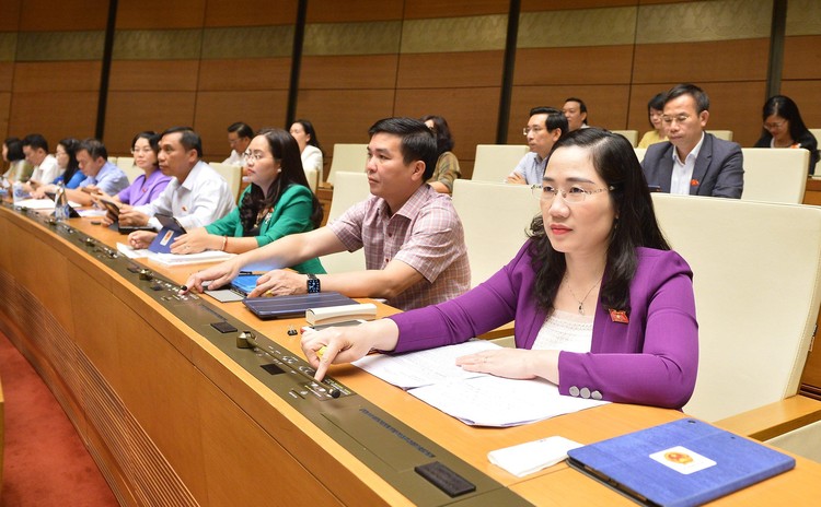 Các đại biểu Quốc hội biểu quyết thông qua dự án Nghị quyết 