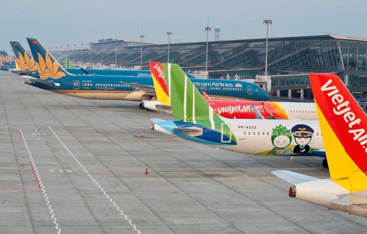Cục Hàng không Việt Nam cần chỉ đạo các hãng hàng không điều hành lịch bay hạn chế việc chậm chuyến, hủy chuyến, đặc biệt trong dịp Tết Nguyên đán. Ảnh: Internet