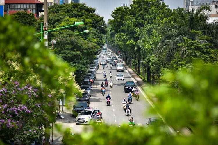 Trong đợt ra quân đầu Xuân Quý Mão 2023, Hà Nội sẽ trồng mới 100.000 - 120.000 cây xanh các loại. Ảnh: TTXVN