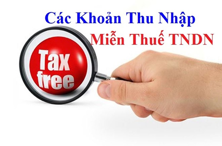 Chính phủ quy định miễn thuế thu nhập doanh nghiệp, cá nhân trên địa bàn TP.HCM