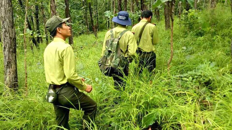 Gói thầu Mua sắm trang phục kiểm lâm phục vụ công tác quản lý và bảo vệ rừng do Khu bảo tồn Thiên nhiên Văn hóa Đồng Nai làm chủ đầu tư. Ảnh: Văn Khương