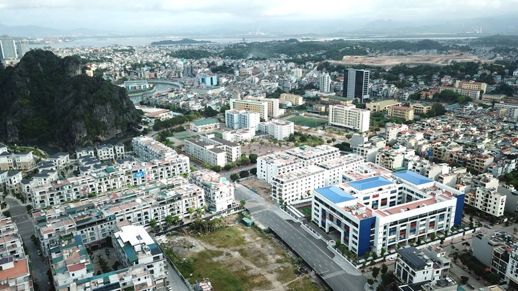 Quyền sử dụng đất 3 dự án tại TP. Hạ Long (Quảng Ninh) đang
đấu giá có tổng giá khởi điểm gần 46 tỷ đồng. Ảnh: Nhã Chi