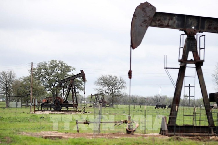 Một trạm bơm dầu ở Luling, bang Texas, Mỹ. Ảnh: THX/TTXVN