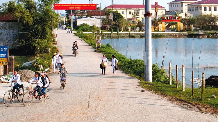 Gói thầu số 02 thuộc Dự án Đường giao thông xã Triệu Lộc, hạng mục: nền mặt đường, công trình thoát nước trên tuyến sử dụng ngân sách Xã. Ảnh minh họa