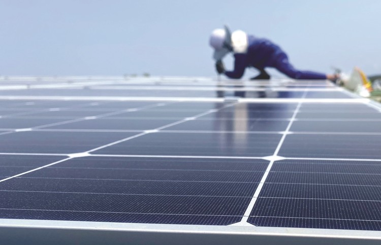Các dự án điện mặt trời tập trung chủ yếu ở Bình Thuận, Ninh Thuận, những nơi đang bị quá tải công suất. Ảnh: Trung Thành
