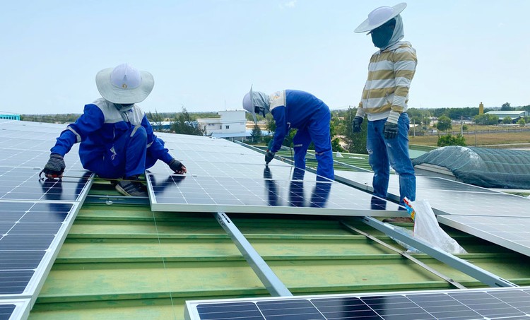 Nhiều doanh nghiệp tham gia vào lĩnh vực năng lượng mặt trời có nguồn thu từ điện khá nhỏ so với nguồn thu các ngành nghề kinh doanh truyền thống khác. Ảnh: Trung Thành