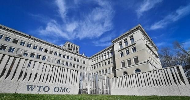 Hội nghị Bộ trưởng WTO lần thứ 12 sẽ được tổ chức cuối tháng 11/2021