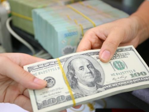 Giá USD tại Vietcombank sáng nay 3/6 giảm 5 đồng. Ảnh minh họa: TTXVN