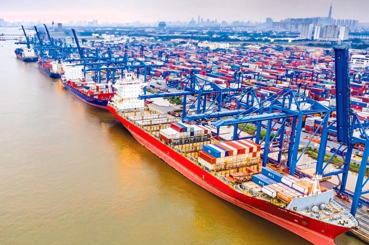 TP.HCM hiện có hệ thống cảng biển lẫn lượng hàng hóa lưu thông lớn nhất cả nước. Ảnh: Nguyễn Trí