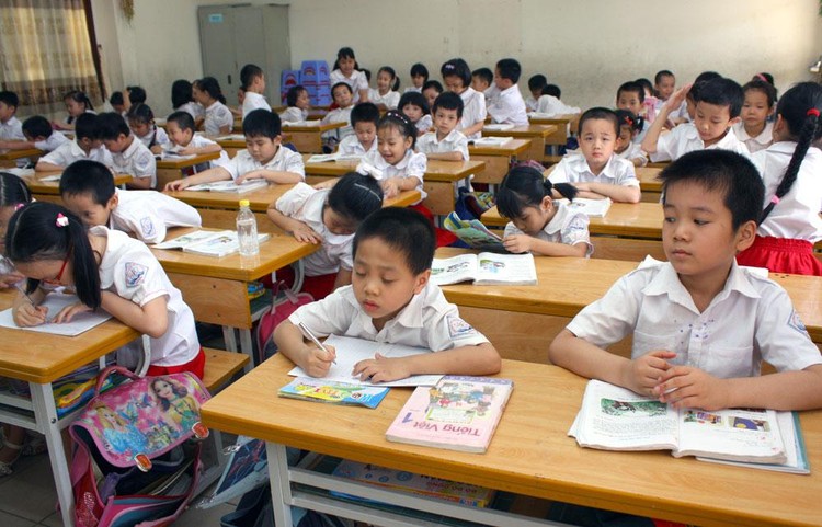Công ty TNHH Kiểu Việt từng trúng nhiều gói thầu mua sắm tập trung bàn ghế học sinh tại Sở Giáo dục và Đào tạo Bình Định. Ảnh minh họa: Nhã Chi