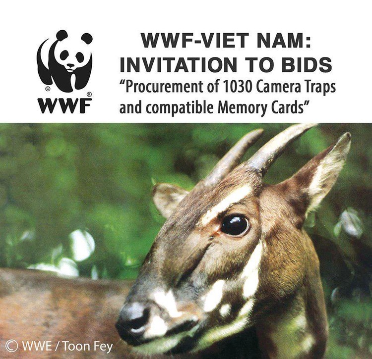 WWF-VIET NAM: Invitation to bids
