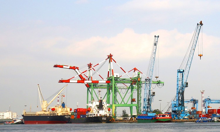 Các doanh nghiệp cảng biển được đánh giá còn nhiều dư địa tăng trưởng trong dài hạn. Ảnh: Tiên Giang