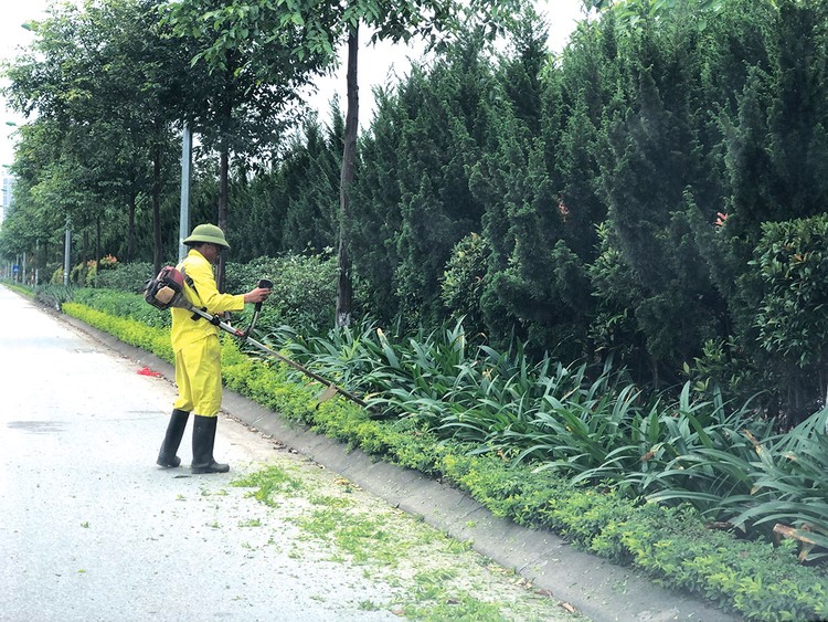 Gói thầu chăm sóc cây xanh, duy trì hệ thống điện chiếu sáng và quét rác đường phố tại huyện Tân Thạnh, tỉnh Long An có giá dự toán 6.860.543.000 đồng. Ảnh minh họa: Tiên Giang