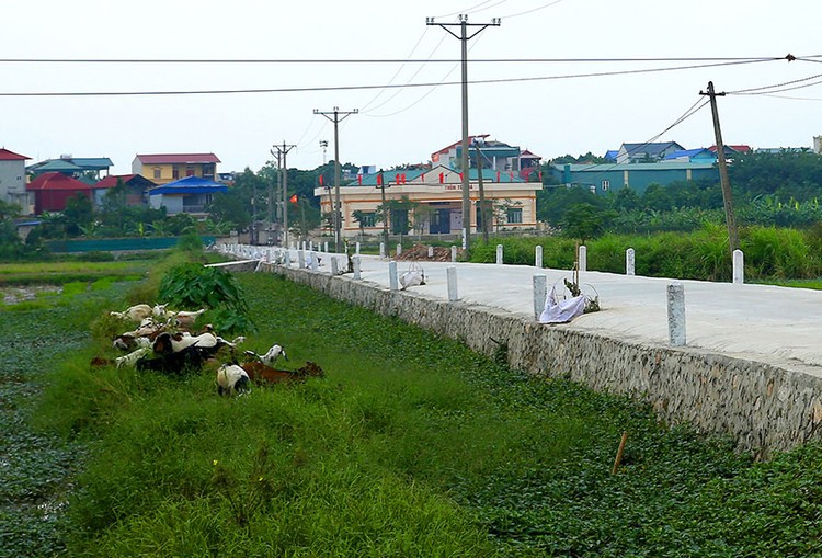 Gói thầu Thi công xây dựng thuộc Dự án Đường nội đồng liên xã tại huyện Ia Pa (tỉnh Gia Lai) có giá 9,945 tỷ đồng, là công trình giao thông nông thôn cấp IV. Ảnh minh họa: Tiên Giang