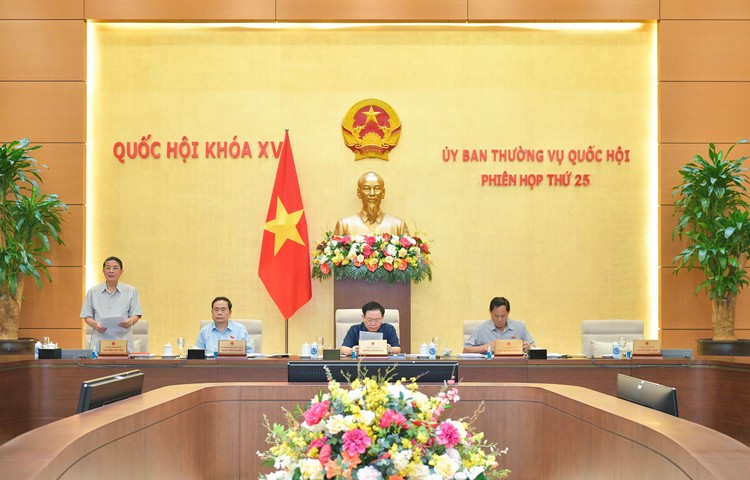 Phó Chủ tịch Quốc hội Nguyễn Đức Hải phát biểu điều hành Phiên họp. Ảnh: Nam An