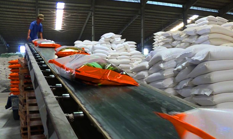 Trong 11 tháng năm 2023, kim ngạch xuất khẩu gạo đạt 4,41 tỷ USD, tăng 36,3%